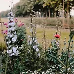 Boutique Erve Hasselo Bed & Breakfast Vorden