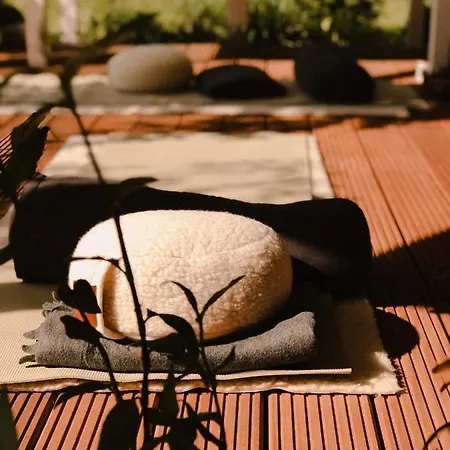 Boutique Erve Hasselo Bed & Breakfast