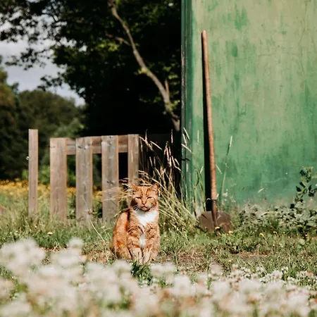 Bed & Breakfast Boutique Erve Hasselo 4*