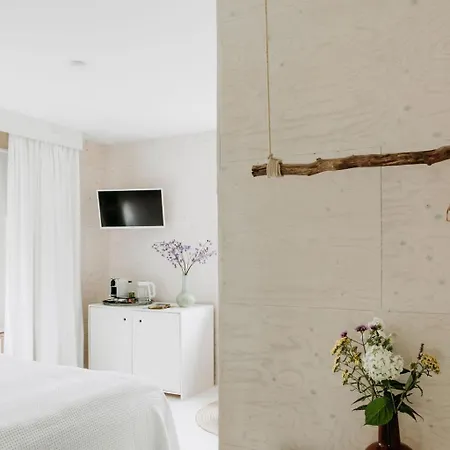 Boutique Erve Hasselo Bed & Breakfast