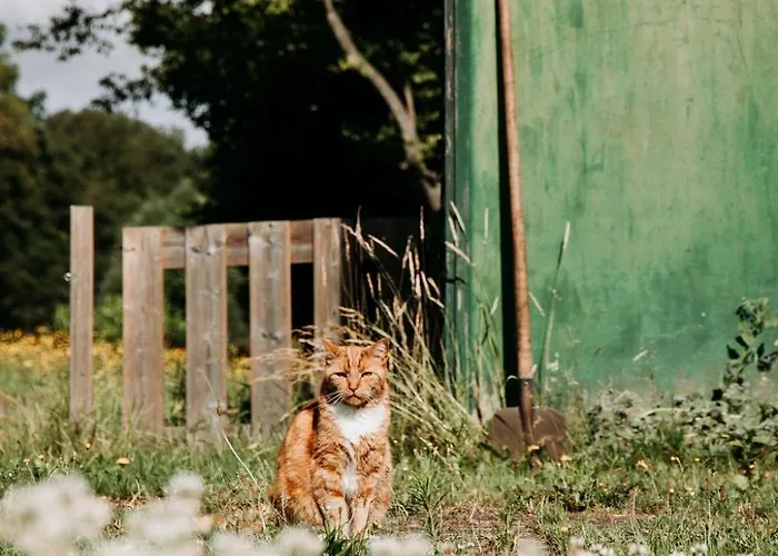 Nocleg ze śniadaniem Boutique Erve Hasselo 4*