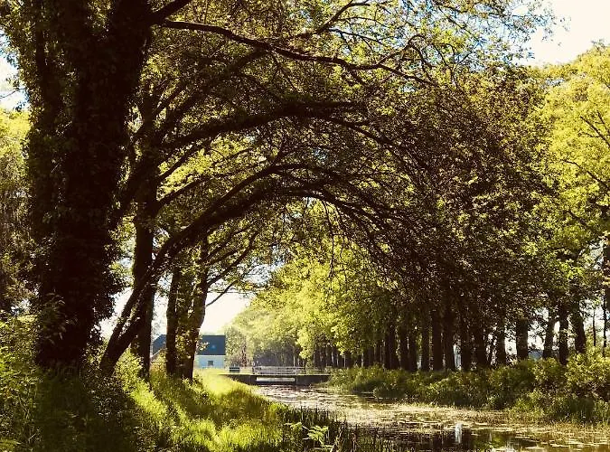 Boutique Erve Hasselo Отель типа 