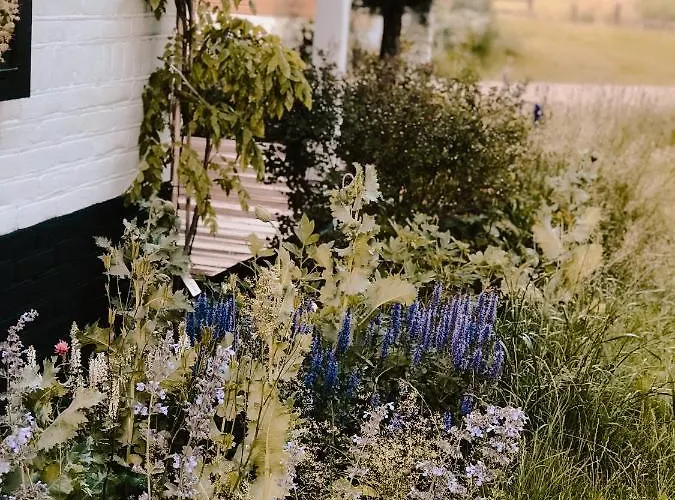 Boutique Erve Hasselo Ворден